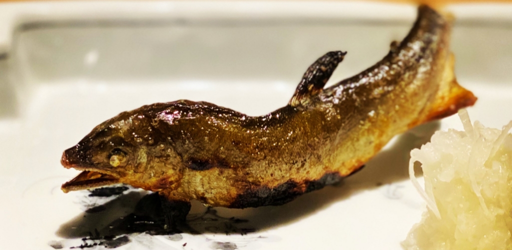 IZARIYA-座屋-銀座